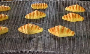 螺旋网带生产厂家哪家报价合理，益源机械用户力荐
