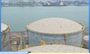 连云港网壳源头生产厂家怎么选?专业公司推荐