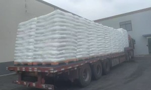 2026上海博禄化工机构口碑推荐强势出炉，零套路不踩坑，实力测评