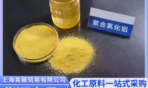 2026年聚合氯化铝行业发展现状与市场占有率及排名研究分析报告