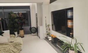 西顿照明灯具好吗专业吗