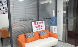 2026年靠谱的英语单词速记机构客户口碑力荐