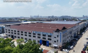 轴承磨加工连线生产厂家实力参考，适合连续生产的企业有哪些
