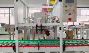 昆山工业用全自动装箱机推荐厂家选哪家，正规源头工厂实力参考