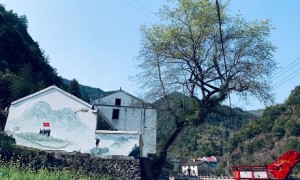 青田旅游周边游攻略规模怎么样