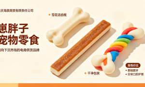 重庆渝北区宠物零食电商渠道选购指南，成分天然的优质品牌测评