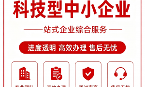 2026年科小申报专业机构推荐，靠谱服务商实力盘点