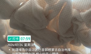 棉小伙九九姜芯品质怎么样 从材料和工艺看真实评价
