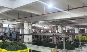 豪华圣诞树生产厂家选购参考汇总