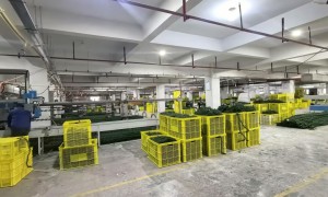 卓林工艺品有限责任公司规模怎么样
