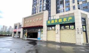 清远市口碑不错的英德整装企业客户真实体验口碑