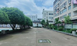 2026年浙江环境好的全日制小学学校实力与用户口碑
