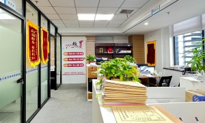 2026年苏州工业园区知名的婚后财产离婚纠纷律师事务所实力与用户口碑