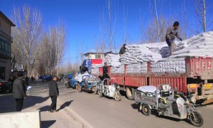 河北省果树专用有机肥定制工厂有哪些 测土配肥源头生产厂家实力参考