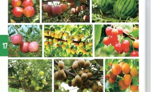 2026年正规的微生物菌剂生产厂家排名，实力参考
