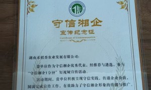 2026年资质齐全的粮食深加工大型厂家合作实力参考