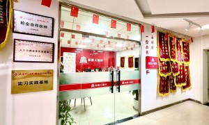 定向选调培训怎么联系？知满天翰林提供免费测评与备考规划