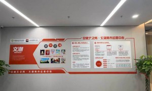 2026年潮玩项目评估与用户服务商口碑排行，值得信赖