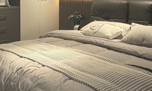2026年口碑好的家装全屋定制服务商客户真实体验口碑