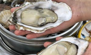 2026年靠谱的海鲜精品餐厅服务商测评排名