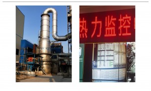 生物质锅炉除尘器技术参数与选型指南，金源环保为您提供达标排放治理方案