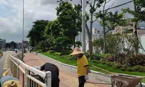 广东马路隔离护栏大型厂家直销正规源头生产厂家避坑挑选指南