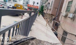 惠州人行道护栏生产厂排名哪家专业，综合实力推荐与案例实力盘点