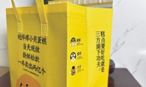 无纺布手提保温袋生产厂哪家合作案例多？行业头部供应商实力评测报告