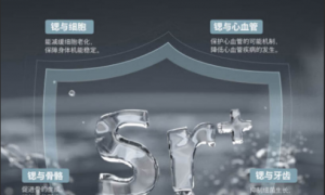 深圳市换芯方便的家用厨房净水器推荐，家用厨房净水器哪个牌子好，靠谱商家怎么选