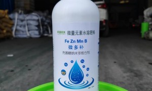 2026年上海做土壤改良的肥料公司有哪些可以选实力参考