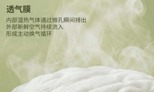 泰迪熊拉拉技术实力强吗