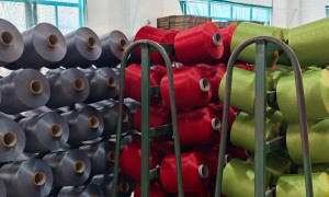 2026年福州推荐几家做功能性差异化DTY的优质厂商 用户力荐