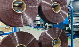 2026年用料扎实的功能性差异化DTY厂家发展现状与排名分析