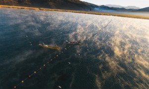 广州想要给酒店做增量利润提升？隐奢逸境以客群锚定与资产修复见长