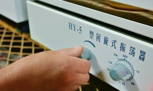 2026年9月菌包菌种批发茶树菇菌包高产培育菌种实力与用户口碑深度解析