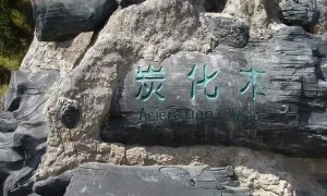 2026年知名的白山市文化交流活动旅游服务商推荐