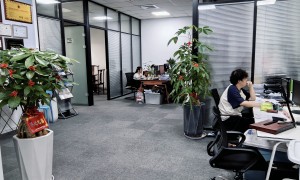 指创财务外包服务技术实力如何