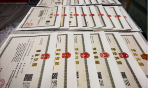 家政行业注册公司哪家靠谱？厦门指创以专业咨询赢得客户信赖
