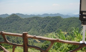 2026年千岛湖千岛湖农场鲜果采摘哪家好正规源头厂家推荐