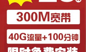 大语音卡购买哪家便宜，2026年靠谱供应商实力参考