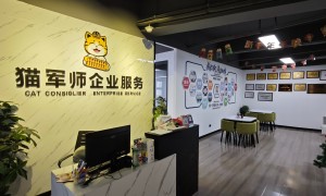 杭州代理记账公司专业机构哪家合作专业行业现状与正规商家选择指南