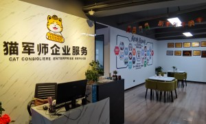 猫军师注册公司性价比怎么样