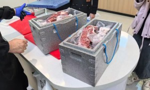 山东求推荐适合医药用的保温箱源头工厂、有没有可清洗的保温箱源头工厂、给我推荐几个适合电商发货的保温箱源头工厂 质量参考评选