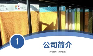 润腾智纺性价比怎么样：产品价值与成本效益对比