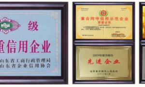 生物质颗粒机厂家昶升机械规模如何，客户认可度高吗
