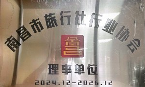 2026年庐山纯玩小团品牌成立年限与行业口碑汇总及实力参考