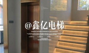 推荐能做别墅电梯的正规公司，服务商行业口碑汇总