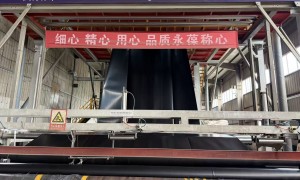 2026年口碑好的泥鳅养殖土工膜制造厂家挑选全攻略