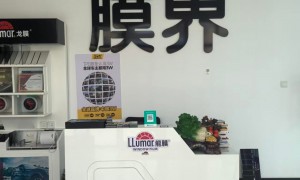 2026年天津武清靠谱的汽车贴膜店推荐，不踩坑指南