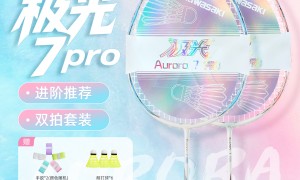 广州栈联供应链管理有限公司：羽毛球拍供应链服务商实力参考